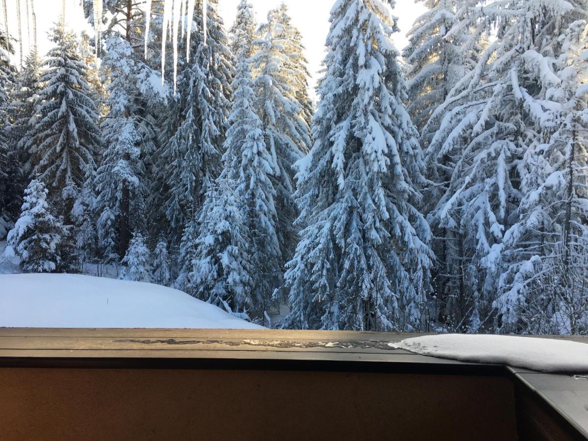Borovets Chalets ภายนอก รูปภาพ