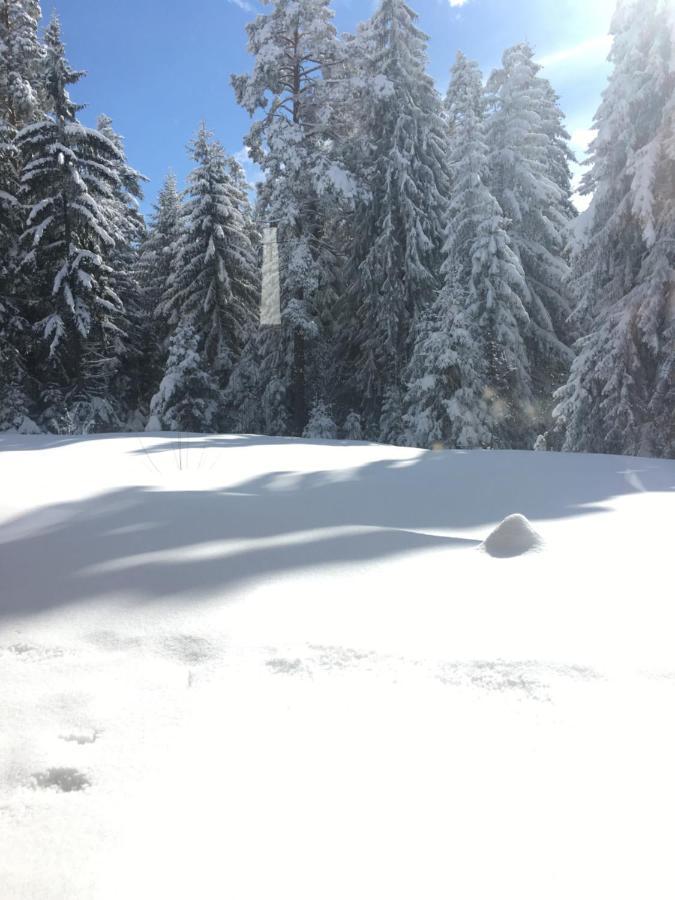 Borovets Chalets ภายนอก รูปภาพ