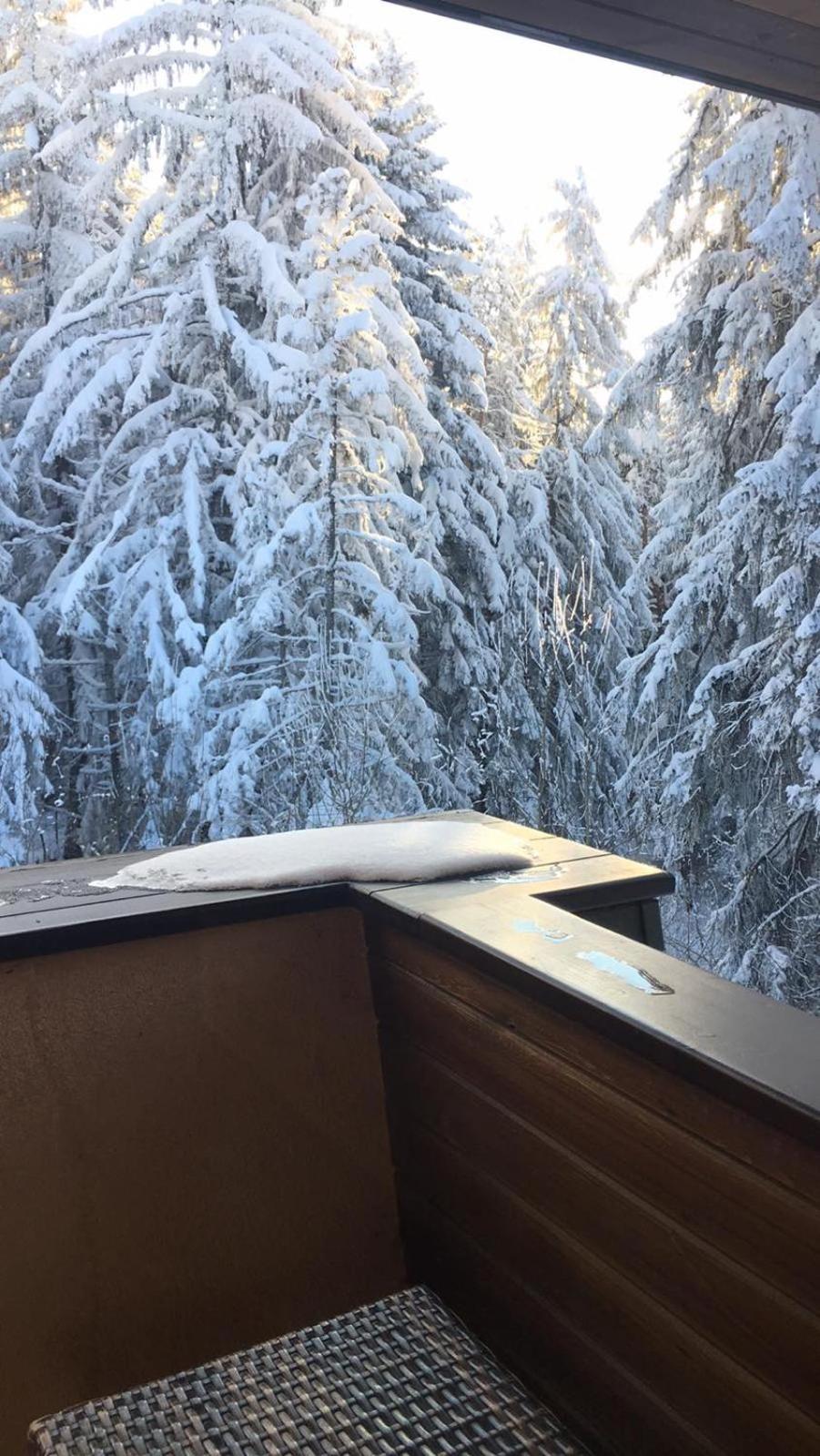 Borovets Chalets ภายนอก รูปภาพ
