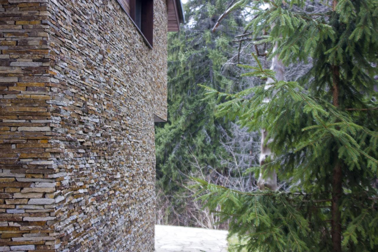 Borovets Chalets ภายนอก รูปภาพ