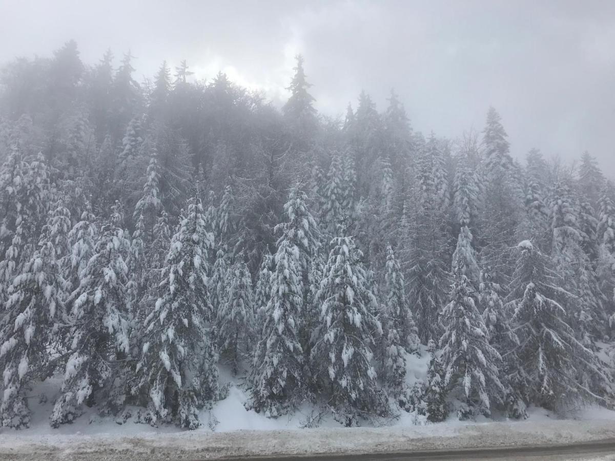 Borovets Chalets ภายนอก รูปภาพ