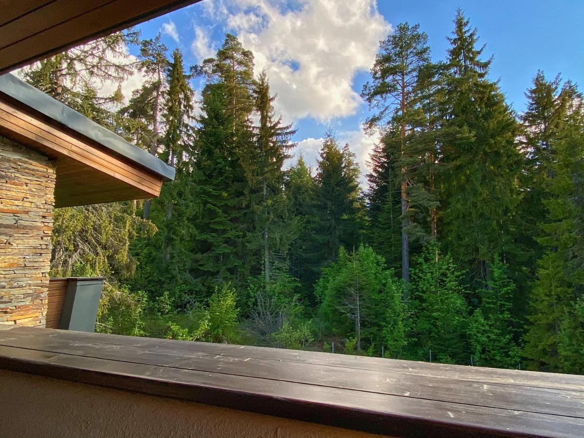 Borovets Chalets ภายนอก รูปภาพ