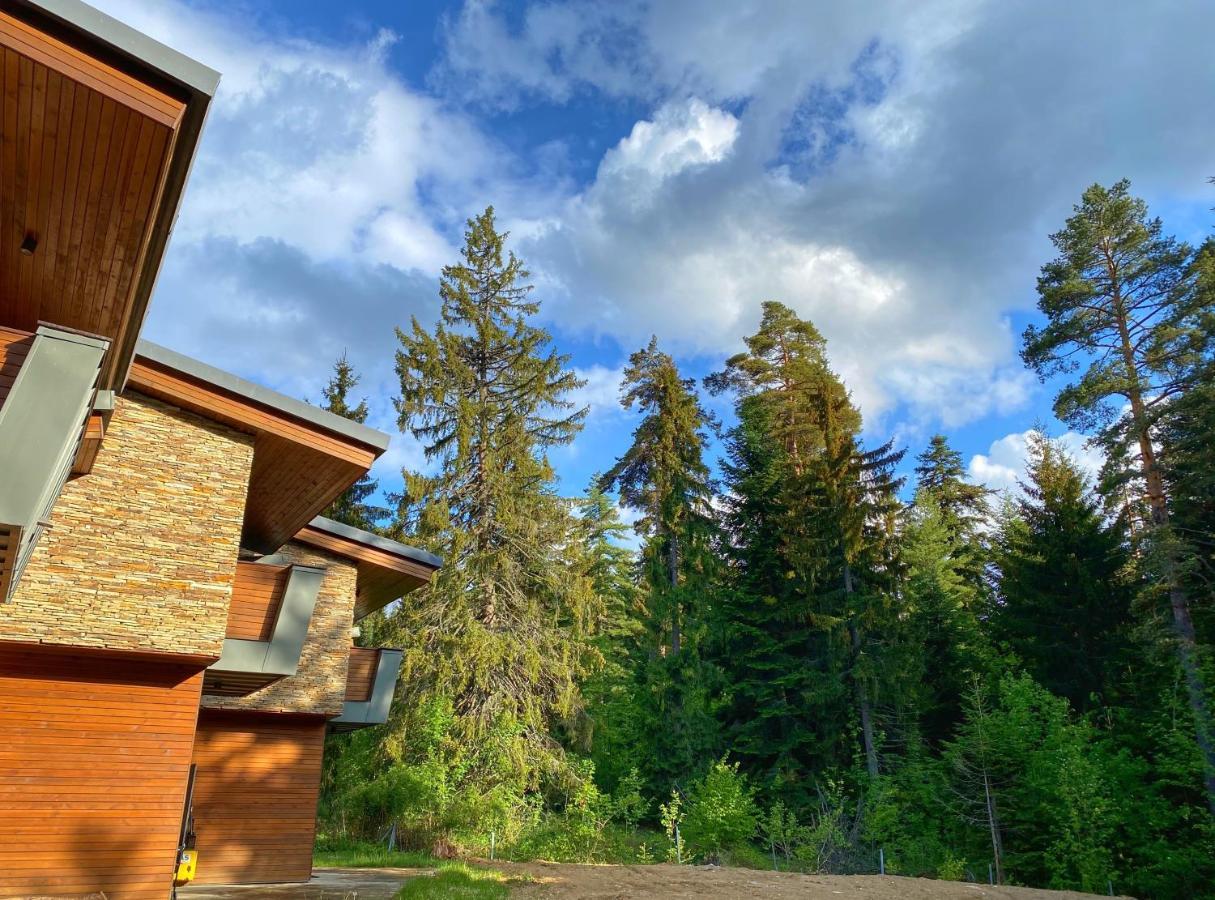 Borovets Chalets ภายนอก รูปภาพ